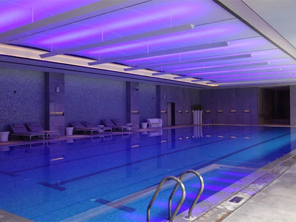 Buleway Architectural Swimming Pool Project Shunde Oct Swan Castle